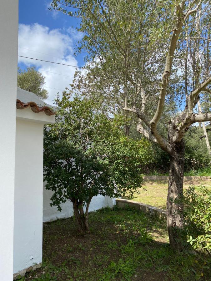 Casa Vacanza Porta Smeralda Olbia Ngoại thất bức ảnh